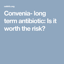 Convenia Long Term Antibiotic Is It Worth The Risk Fur