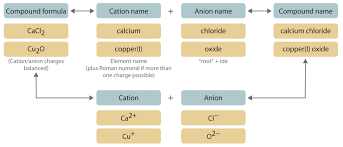 3 6 Names And Formulas Of Inorganic Compounds Chemistry