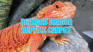 reptile carpet good for bearded dragons