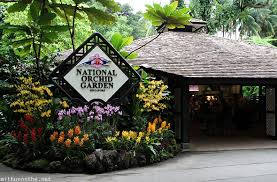 bukit timah and singapore botanic gardens