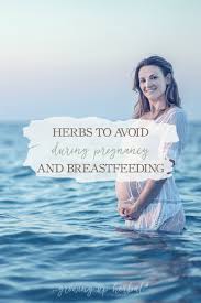 herbs to avoid during pregnancy