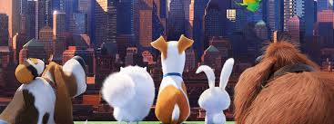 The quiet life of a terrier named max is upended when his owner takes in duke, a stray whom max instantly dislikes. The Secret Life Of Pets Review