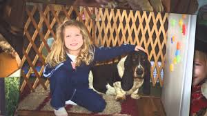 We are a small home and have only 7 basset hound puppies for sale,. Akc Basset Hound Puppies For Sale Bloodhound Breeders In Indiana Hydens Hounds