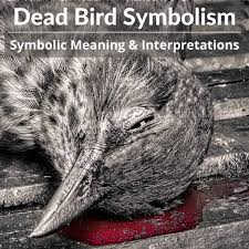 dead bird meaning read this when you