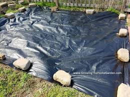 Using Black Plastic Tarps To Clear A