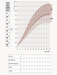 But there may be some cats that can take up to 2 years to be fully grown. Kitten Growth Chart From Hill S Kitten Growth Chart Growth Chart Kitten Care