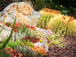 7 Best Rocks For Your Succulent Garden