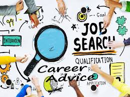 Image result for free images of career search