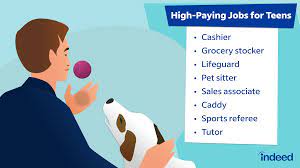 15 high paying jobs for s indeed com