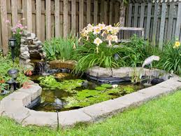 build a small pond in your garden