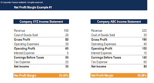 net profit margin template