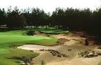 Pine Barrens at World Woods Golf Club in Brooksville, Florida, USA ...