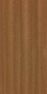 sapele the wood database hardwood