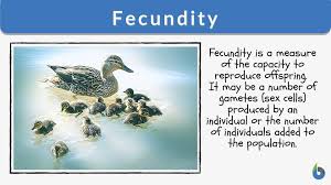 fecundity definition and exles
