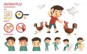 Flu symptoms often appear suddenly and can include high. Bird Flu Avian Influenza Symptoms Causes And Treatment