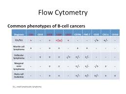 Learning From And About Cancer Chronic Lymphocytic Leukemia