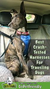 Best Crash Tested Dog Harnesses For