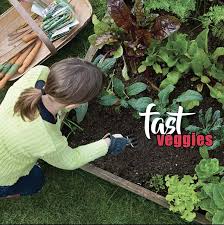 Quick Growing Vegetables To Grow In