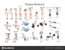 bicep and tricep workout with dumbbells