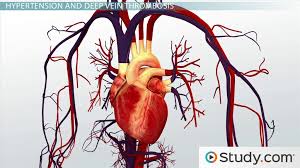 cardiovascular disease definitions