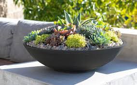 16 cute and functional succulent pots