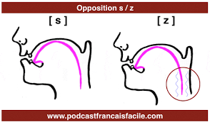 Resultado de imagen de les sons consonnes en franÃ§ais