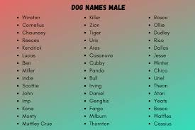 1150 catchy and unique male dog names