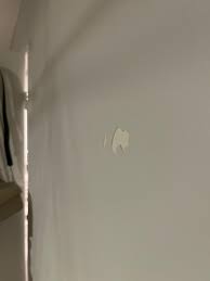 Au secours! J'ai collé un truc au mur de mon appart et quand je l'ai  décollé une couche épaisse de peinture est partie avec, svp je fais quoi  ?😭 : r/AskFrance