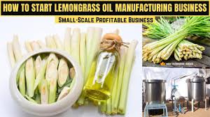 start lemongr oil manufacturing