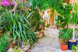 A Mediterranean Garden