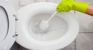 Tips How To Clean A Toilet And Remove