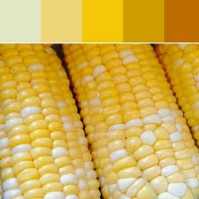 Fresh Corn Palette Yellow Palette