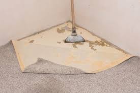 carpet removal in la crosse buzz