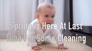 sunshine carpet cleaning expert