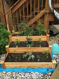 Raised Bed Garden With 3 Tomato Plants