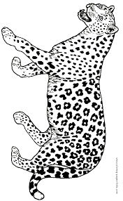 jaguar color page