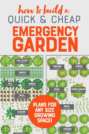 emergency vegetable garden