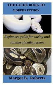 book to morphs python beginners guide