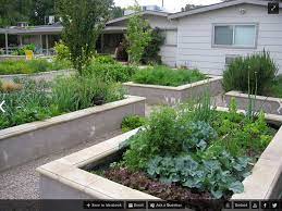 Permanent Concrete Raised Beds