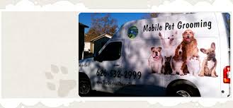 I highly suggest mobile grooming denver for pet grooming in the area. Original Doggie Glam Mobile Pet Grooming Pet Grooming Covina Ca