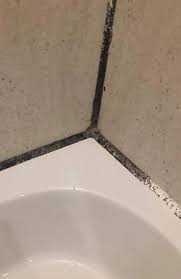 2 Cleaning For Bathroom Mould