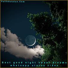 best good night sweet dreams whatsapp