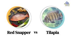 red snapper vs tilapia nutritional