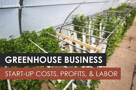 Greenhouse Business Start Up Costs