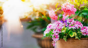 Beautiful Patio Flower Pots On Balcony