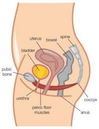 diagnoses of women s ual health