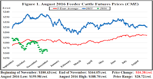 November Florida Cattle Market Price Watch Panhandle