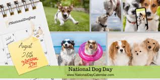 What is it and how can you make a; National Dog Day August 26 National Day Calendar