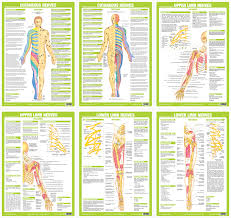 Jan Roscoe Publications Categories Posters Wall Charts