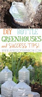 diy bottle greenhouse success tips